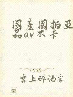 国产国拍亚洲精品av不卡