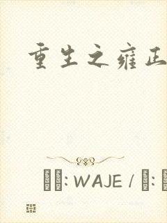 重生之雍正王朝