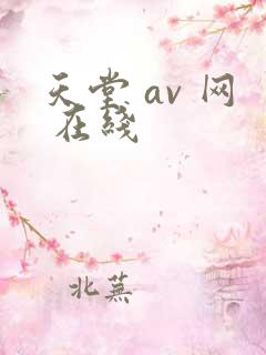 天堂 av 网 在线