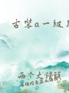 古装a一级片