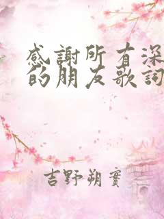 感谢所有深爱我的朋友歌词