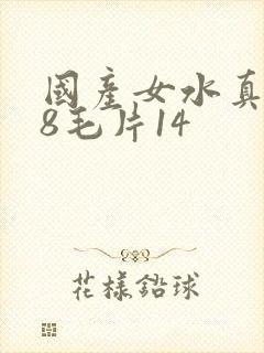 国产女水真多18毛片14