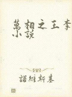 万相之王李洛的小说