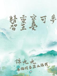 精灵宝可梦之小智主受