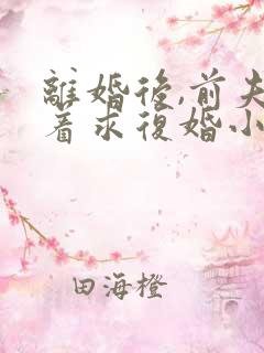 离婚后,前夫哭着求复婚小说阅读