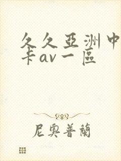 久久亚洲中文不卡av一区