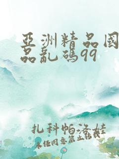 亚洲精品国产精品乱码99