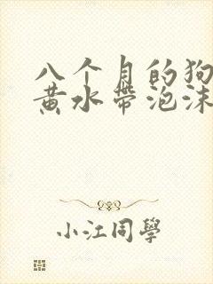 八个月的狗狗吐黄水带泡沫