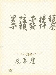 男孩子摸头女孩子头发什么意思