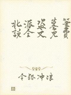 北派盗墓笔记小说全文免费阅读完整版