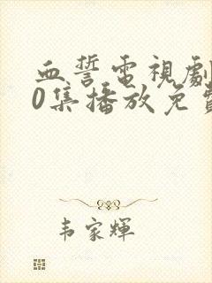 血誓电视剧全30集播放免费