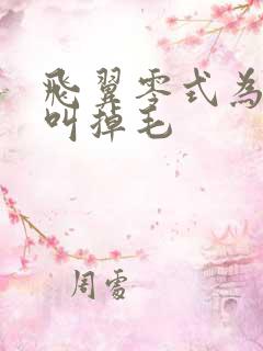 飞翼零式为什么叫掉毛