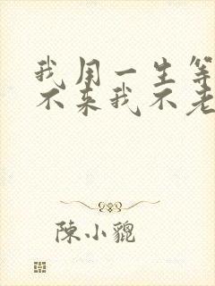 我用一生等你你不来我不老什么歌