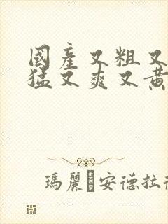 国产又粗又长又猛又爽又黄的网站