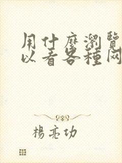 用什么浏览器可以看各种网站