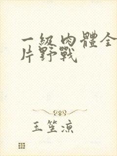 一级肉体全黄裸片野战
