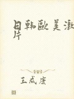 日韩欧美激情爽片