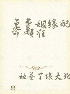 免费姻缘配对算命超准