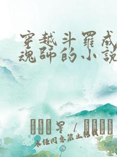 穿越斗罗成为邪魂师的小说