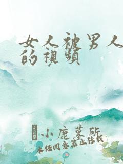 女人被男人爆操的视频