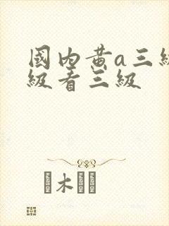 国内黄a三级三级看三级