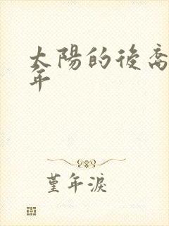 太阳的后裔哪一年