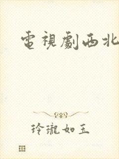 电视剧西北锤王