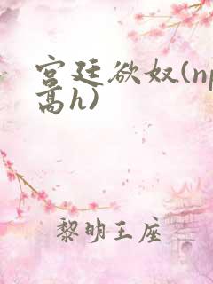 宫廷欲奴(np高h)