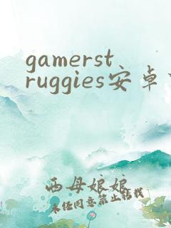 gamerstruggies安卓下载
