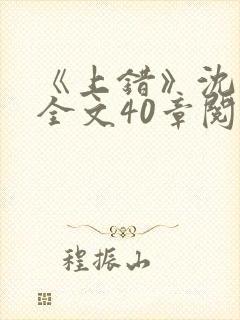 《上错》沈南初全文40章阅读