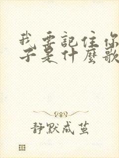 我要记住你的样子是什么歌