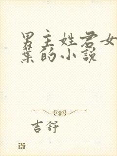 男主姓君女主姓叶的小说