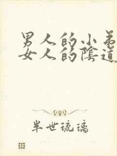 男人的小弟插入女人的阴道视频