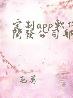 定制app软件开发公司那家好