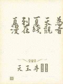 直到夏天为止动漫在线观看免费