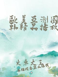 欧美亚洲国产日韩精品播放