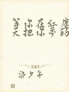 等你在红尘中每天把你梦的歌名是什么?