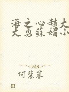海之心赵大宝赵大勇苏媚小说免费在线阅读