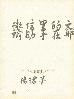 微信里的文件传输助手在哪里