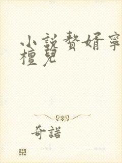 小说赘婿宁毅苏檀儿