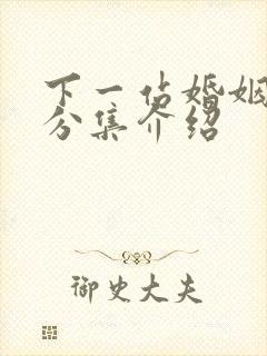 下一站婚姻剧情分集介绍