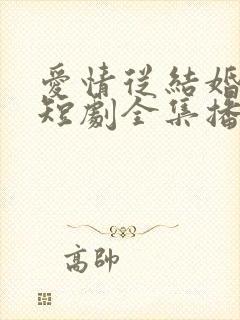 爱情从结婚开始短剧全集播放