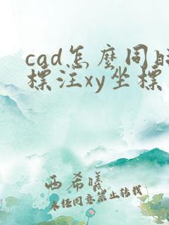 cad怎么同时标注xy坐标