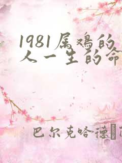 1981属鸡的人一生的命运是怎么样的
