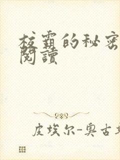 校霸的秘密免费阅读