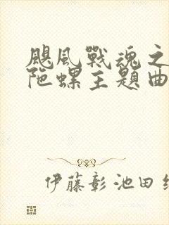 飓风战魂之剑旋陀螺主题曲