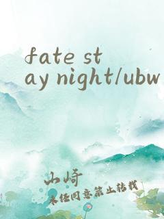fate stay night/ubw