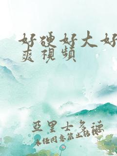 好硬好大好爽好爽视频