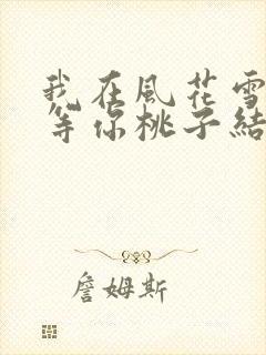 我在风花雪月里等你桃子结局