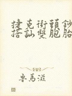 捷克街头钞能力搭讪双胞胎